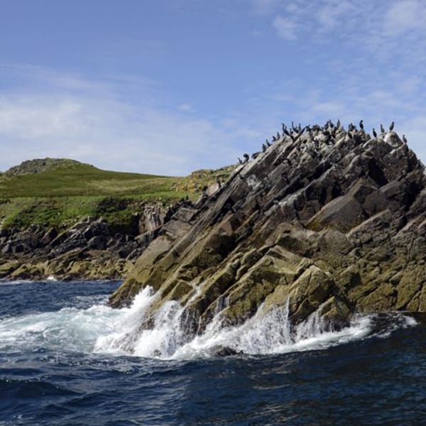 Island Tours with Nick Furlong Angling Trips - Kilmore Quay