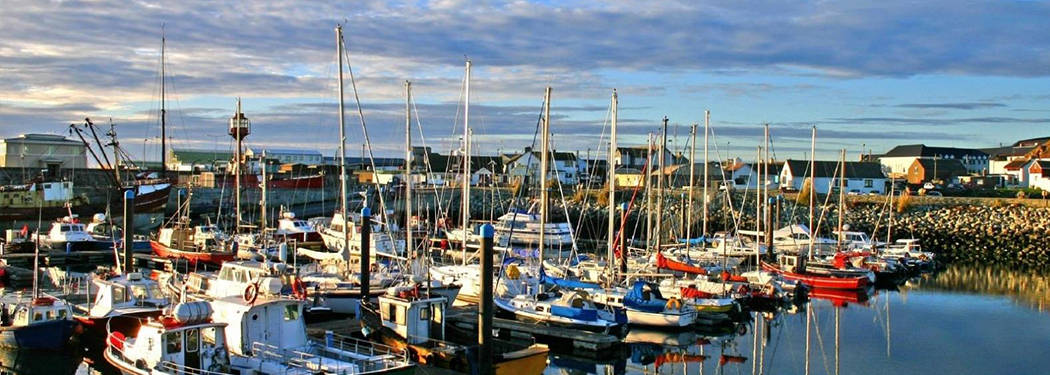 Kilmore Quay: A Fishing Enthusiast's Haven in Ireland | Nick Furlong Angling Trips